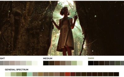 A Way to Obtain a Natural Color Palette